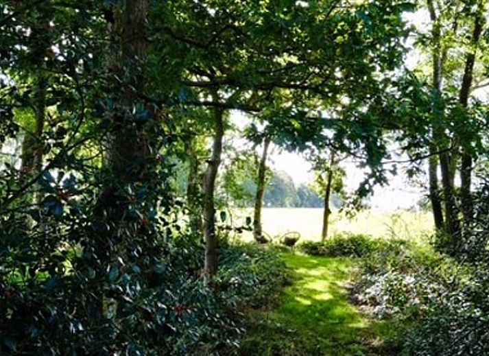 Gezellige binnenruimte in Vakantiehuisje in Donkerbroek, Het Friese platteland.