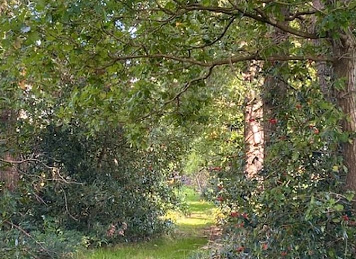 Natuurlijke omgeving rondom Vakantiehuisje in Donkerbroek, Het Friese platteland.