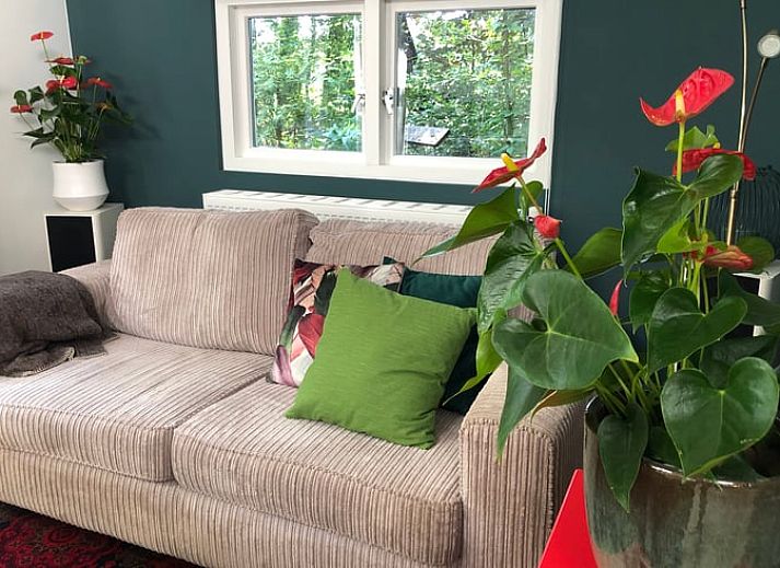 Ferienhaus in Makkinga, umgeben von ueppiger Natur in der friesischen Landschaft, Friesland.