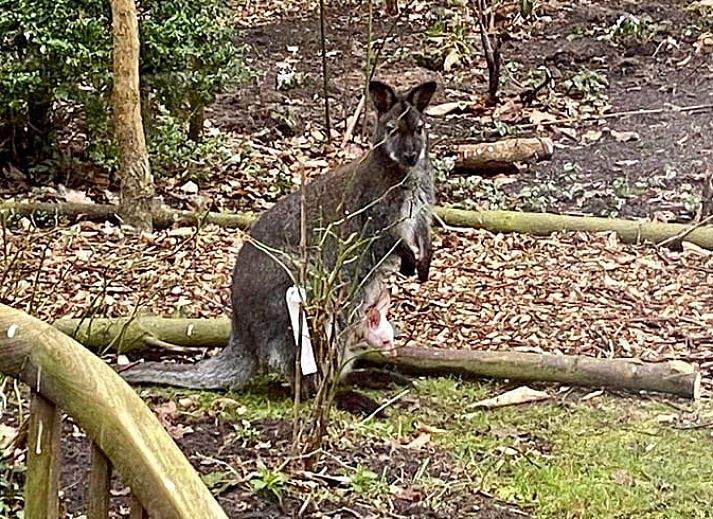 Gemuetliches Wohnzimmer des Ferienhauses in Makkinga mit Blick auf die friesische Landschaft.