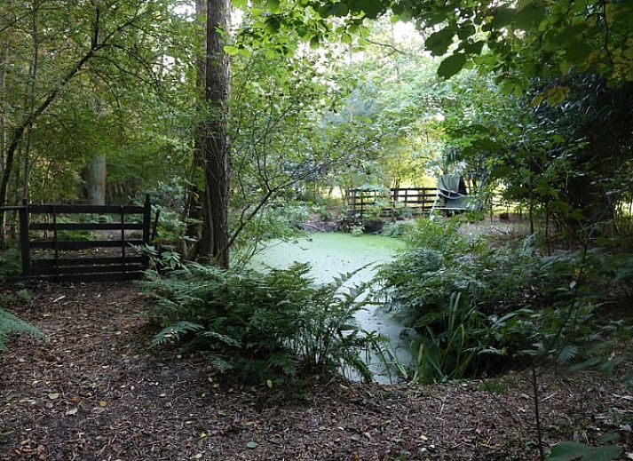 Gemuetliches Wohnzimmer des Ferienhauses in Makkinga mit Blick auf die friesische Landschaft.