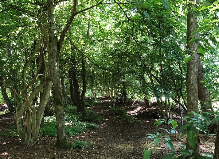 Stilvolle Einrichtung des Ferienhauses in Makkinga mit viel natuerlichem Licht in Friesland.