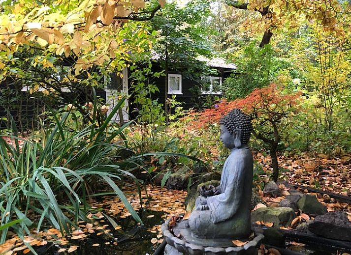 Stilvolle Einrichtung des Ferienhauses in Makkinga mit viel natuerlichem Licht in Friesland.