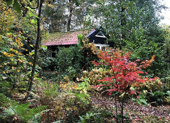 Moderne Sitzecke im Ferienhaus in Makkinga mit Blick auf die gruene Umgebung von Friesland.