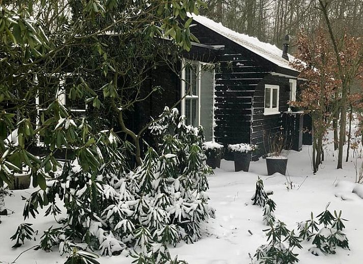 Moderne Sitzecke im Ferienhaus in Makkinga mit Blick auf die gruene Umgebung von Friesland.