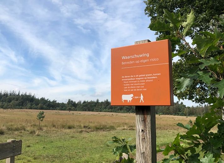 Moderne Sitzecke im Ferienhaus in Makkinga mit Blick auf die gruene Umgebung von Friesland.