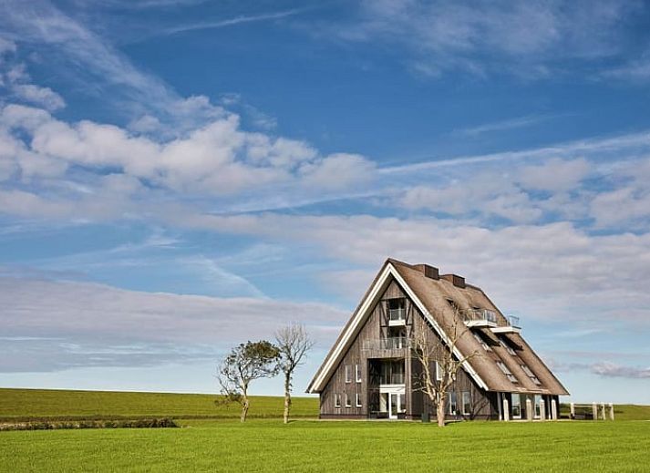Verblijf 260225 • Vakantiewoning Het Friese platteland • Huisje in Wierum