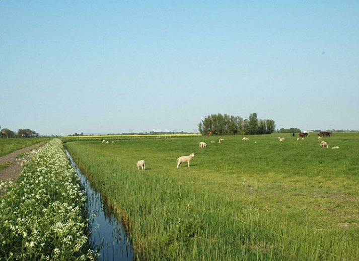 Unterkunft 260303 - Ferienhaus Het Friese platteland - Bonnehof