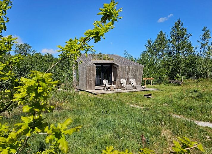 Guest house 260311 - Holiday property Het Friese platteland - Huisje in Westergeest