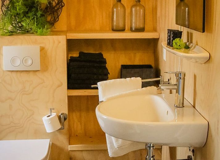 Guest house 260311 - Holiday property Het Friese platteland - Huisje in Westergeest