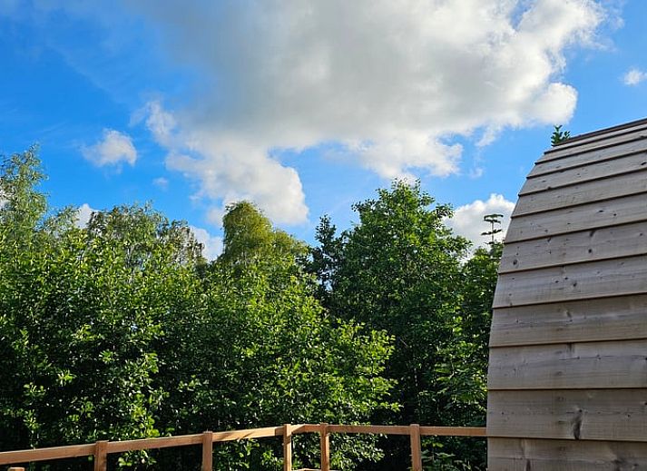 Unterkunft 260312 - Ferienhaus Het Friese platteland - Vakantiehuisje in Westergeest