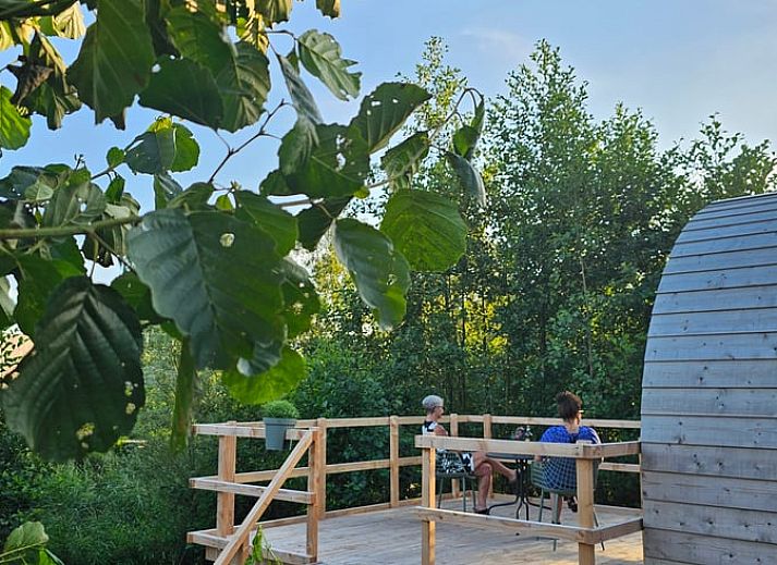 Unterkunft 260312 - Ferienhaus Het Friese platteland - Vakantiehuisje in Westergeest