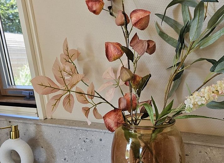 Unterkunft 260313 - Ferienhaus Het Friese platteland - Huisje in Westergeest