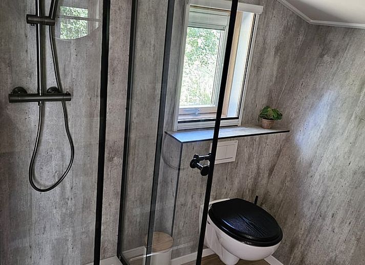 Unterkunft 260313 - Ferienhaus Het Friese platteland - Huisje in Westergeest