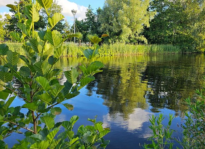 Unterkunft 260313 - Ferienhaus Het Friese platteland - Huisje in Westergeest