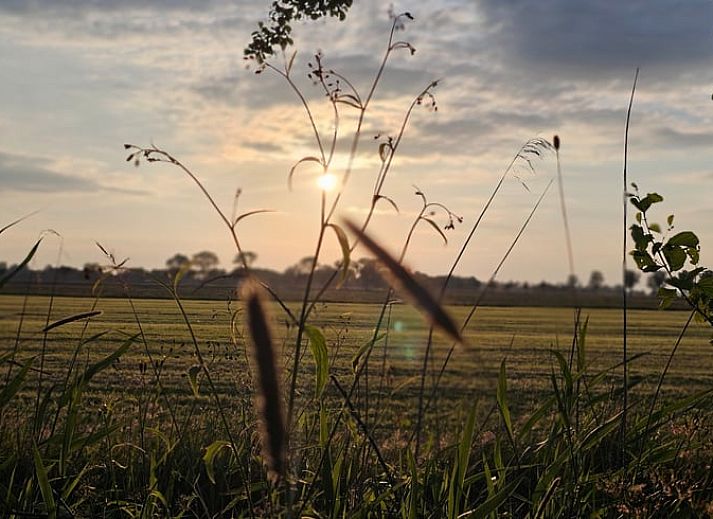 Unterkunft 260314 - Ferienhaus Het Friese platteland - Vakantiehuis in Westergeest