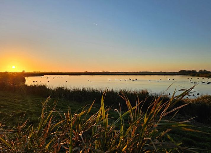 Unterkunft 260314 - Ferienhaus Het Friese platteland - Vakantiehuis in Westergeest