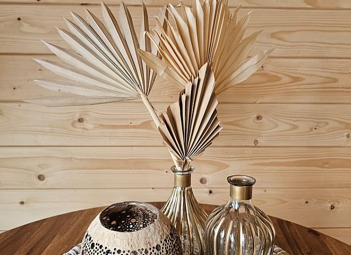 Unterkunft 260317 - Ferienhaus Het Friese platteland - Vakantiehuis in Westergeest