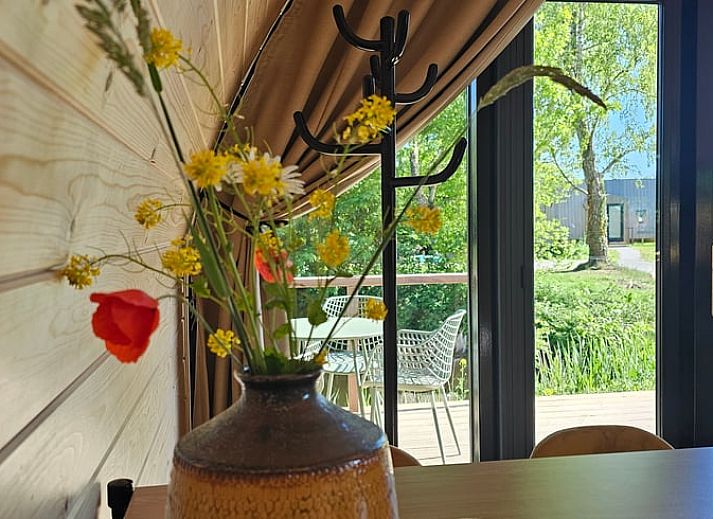 Unterkunft 260319 - Ferienhaus Het Friese platteland - Vakantiehuis in Westergeest