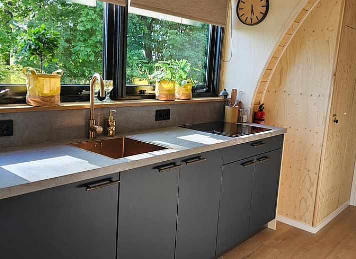 Unterkunft 260319 - Ferienhaus Het Friese platteland - Vakantiehuis in Westergeest