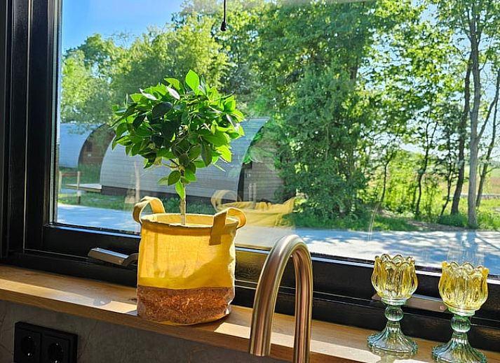 Unterkunft 260319 - Ferienhaus Het Friese platteland - Vakantiehuis in Westergeest
