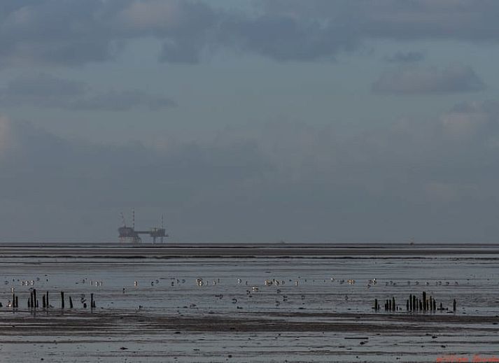 Gezellig terras bij Vakantiehuis in Moddergat, Het Friese platteland, Friesland.