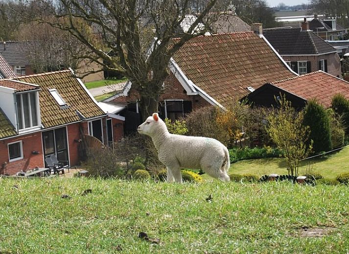Charmant Vakantiehuisje in Moddergat op het Friese platteland in Friesland, perfect voor een ontspannen verblijf.