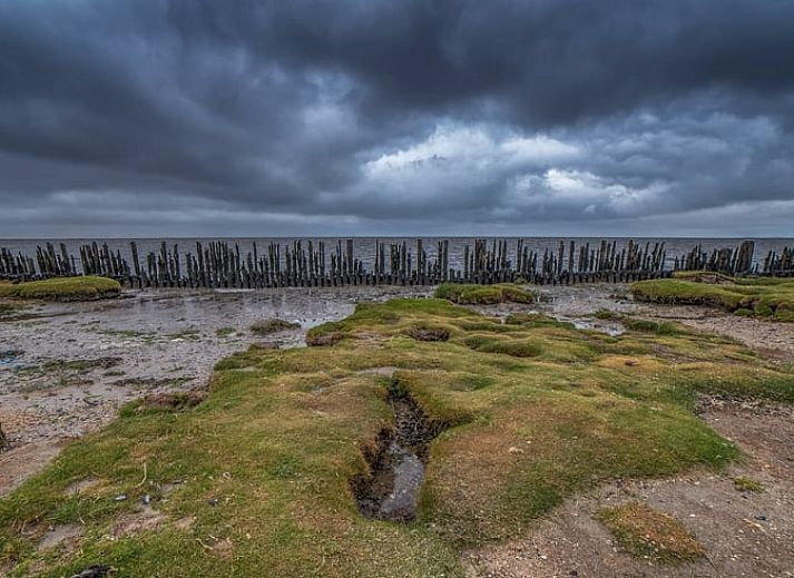 Uitzicht op Vakantiehuisje in Moddergat met een lammetje op het Friese platteland in Friesland.
