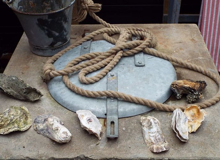 Uitzicht op Vakantiehuisje in Moddergat met een lammetje op het Friese platteland in Friesland.