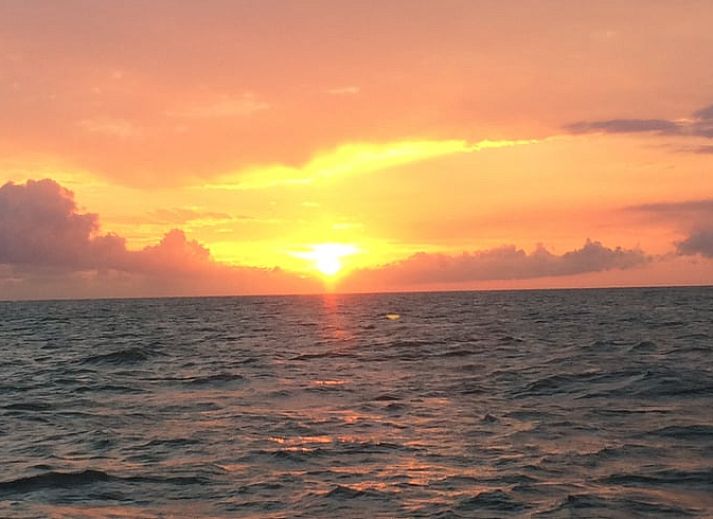 Moderne woonkamer van Vakantiehuisje in Moddergat, ideaal voor comfort op het Friese platteland in Friesland.