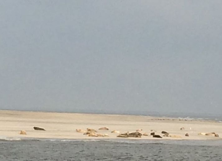 Moderne woonkamer van Vakantiehuisje in Moddergat, ideaal voor comfort op het Friese platteland in Friesland.