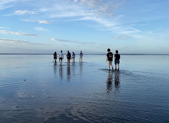 Guest house 260411 - Holiday property Het Friese platteland - FR477