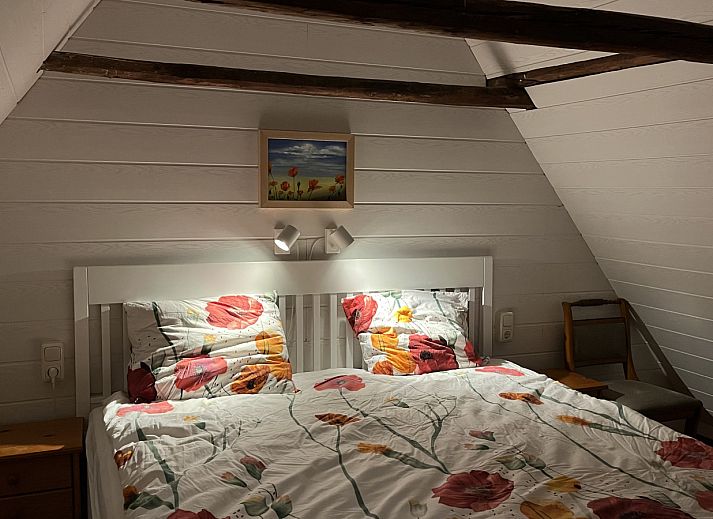 Guest house 260411 - Holiday property Het Friese platteland - FR477