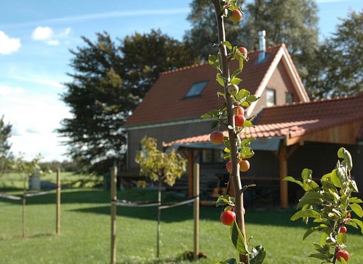 Guest house 260502 - Holiday property Het Friese platteland - Huisje in Scherpenzeel