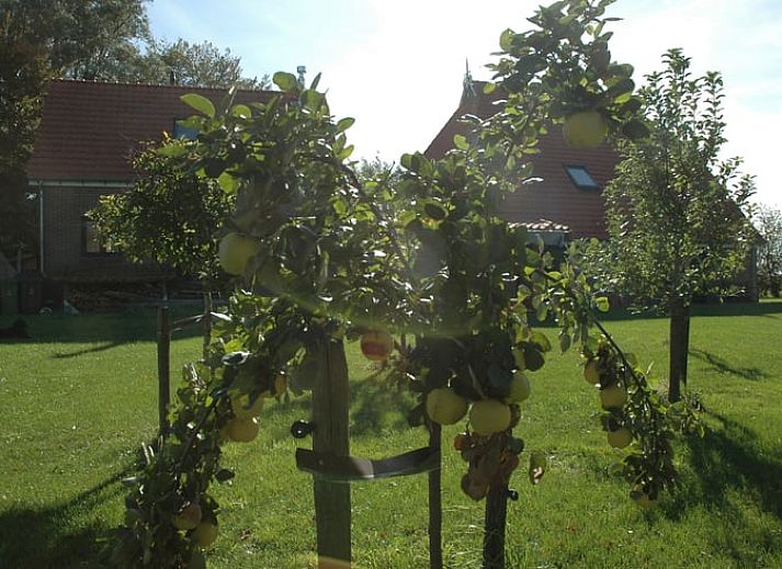 Guest house 260502 - Holiday property Het Friese platteland - Huisje in Scherpenzeel