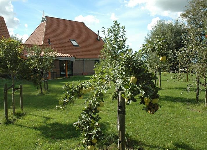 Guest house 260502 - Holiday property Het Friese platteland - Huisje in Scherpenzeel