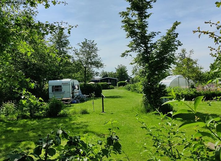 Comfortabele zithoek in Vakantiehuis in Scherpenzeel met uitzicht op de tuin in Friesland.