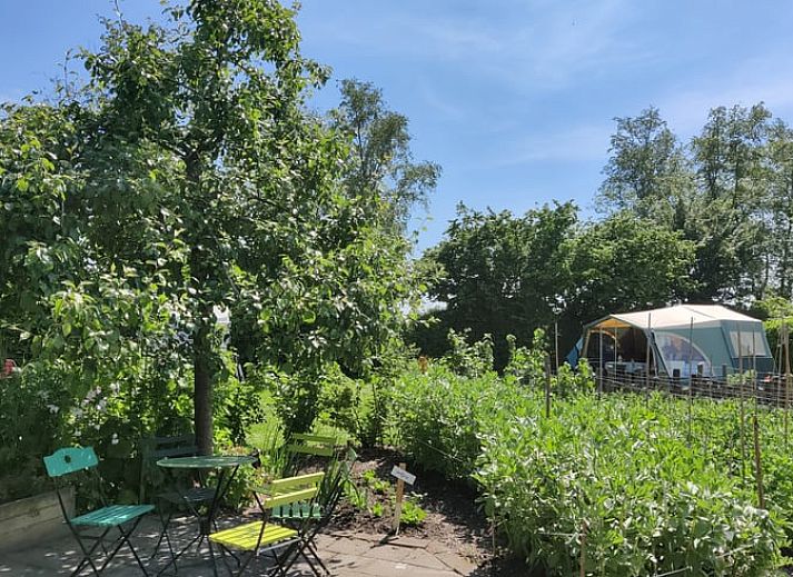 Comfortabele zithoek in Vakantiehuis in Scherpenzeel met uitzicht op de tuin in Friesland.