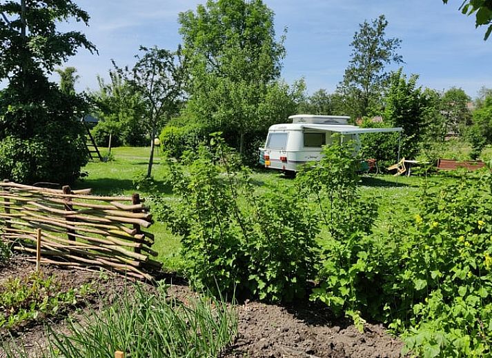 Comfortabele zithoek in Vakantiehuis in Scherpenzeel met uitzicht op de tuin in Friesland.