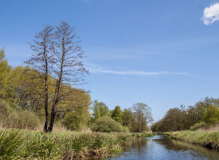 Verblijf 260506 - Vakantiewoning Het Friese platteland - Vakantiehuisje in Scherpenzeel