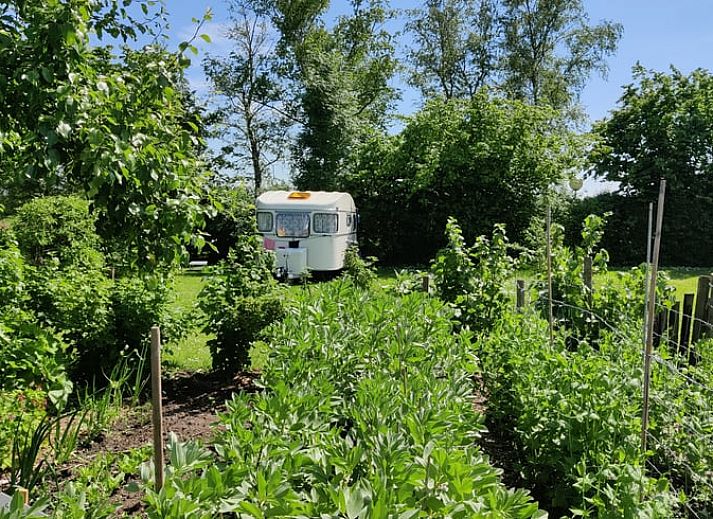 Verblijf 260508 - Vakantiewoning Het Friese platteland - Vakantiehuis in Scherpenzeel