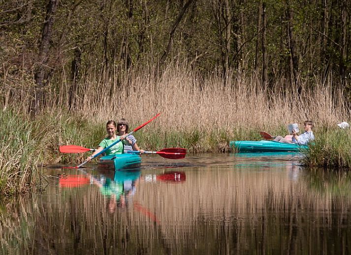 Verblijf 260508 - Vakantiewoning Het Friese platteland - Vakantiehuis in Scherpenzeel