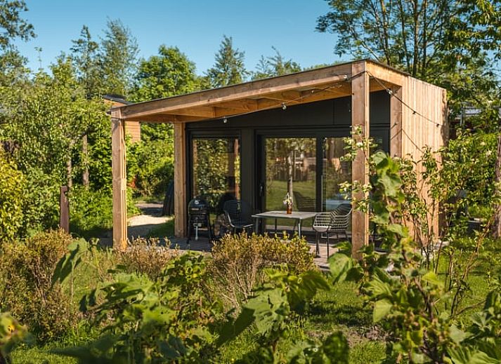 Vacation home in Scherpenzeel with charming terrace in the Frisian countryside, Friesland.