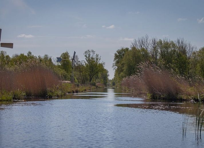 Vacation home with spacious veranda in Scherpenzeel, amidst the Frisian greenery.