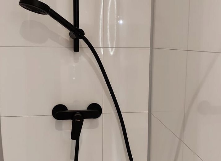 Vacation home with spacious veranda in Scherpenzeel, amidst the Frisian greenery.