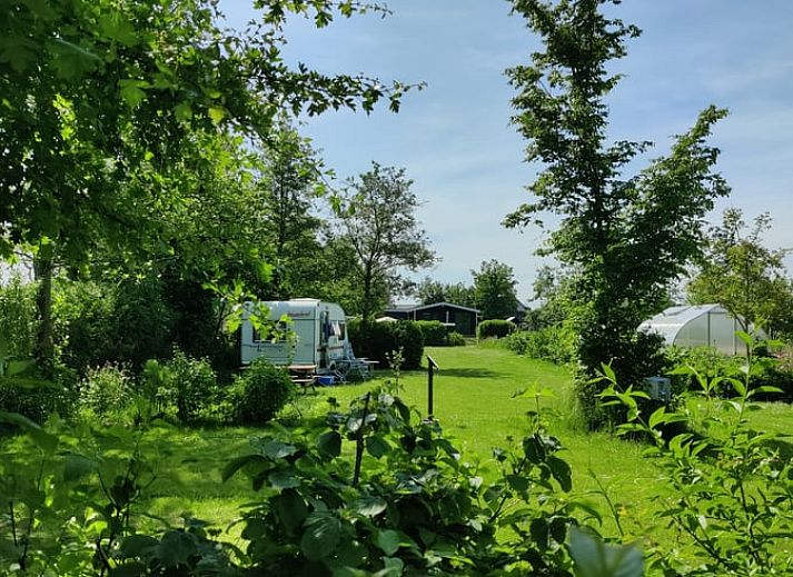 Barbecue on the terrace of Holiday Home in Scherpenzeel, for a delicious meal in Friesland.