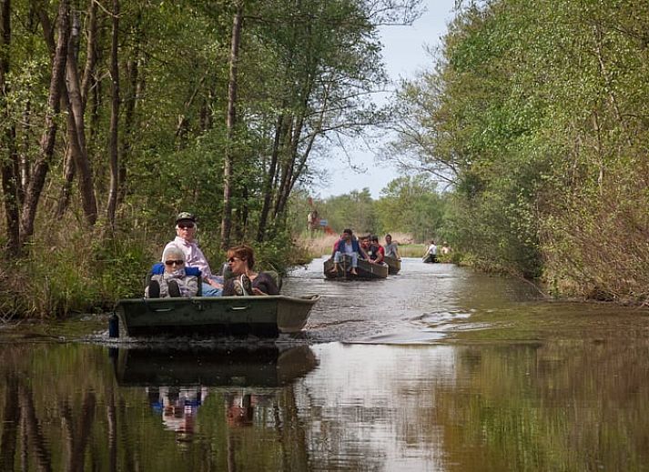 Barbecue on the terrace of Holiday Home in Scherpenzeel, for a delicious meal in Friesland.
