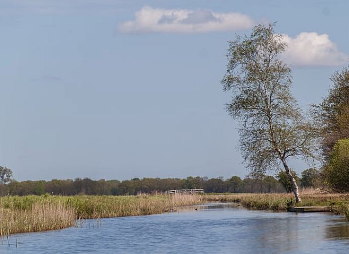 Barbecue on the terrace of Holiday Home in Scherpenzeel, for a delicious meal in Friesland.