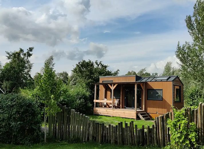 Guest house 260519 - Holiday property Het Friese platteland - Tiny Greenhouse
