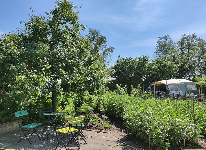 Unterkunft 260522 - Ferienhaus Het Friese platteland - «Large Green House»